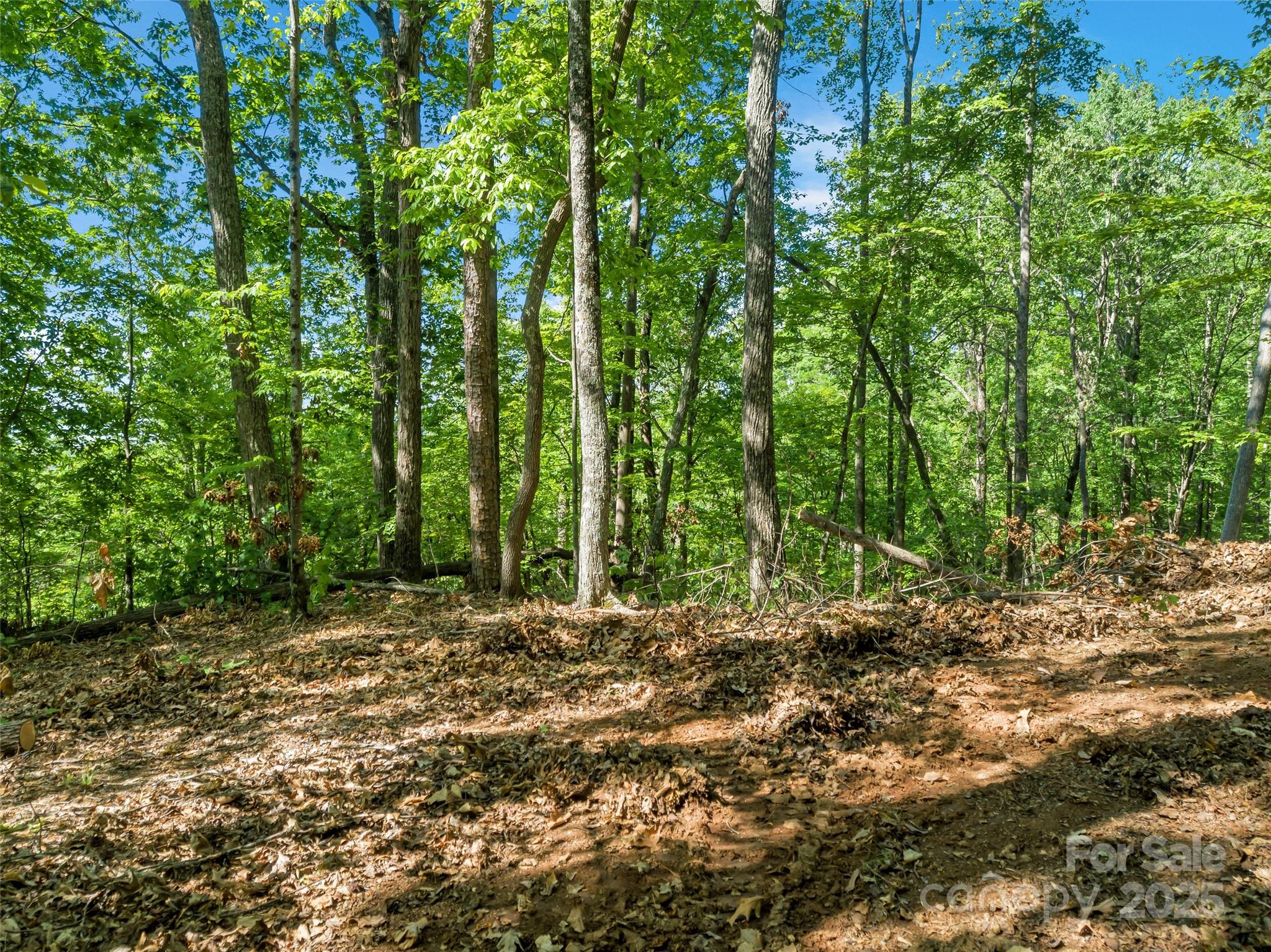 0 Maple Spring Lane Union Mills, NC 28167 - Photo 10 of 17