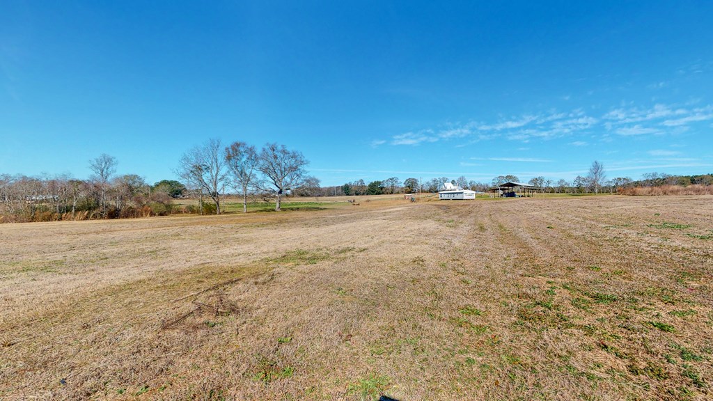 275 Hovey Road Slocomb, AL 36375 - Photo 38 of 41