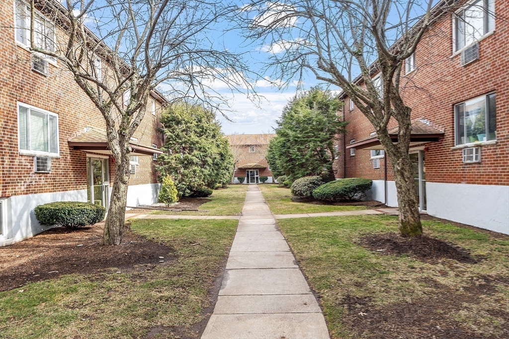 26 Bryon Road, Unit 3 Boston, MA 02467 - Photo 22 of 30 a park with large tree