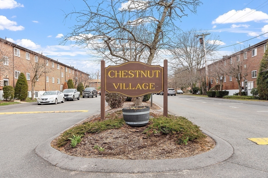 26 Bryon Road, Unit 3 Boston, MA 02467 - Photo 28 of 30 a view of a street with cars on road