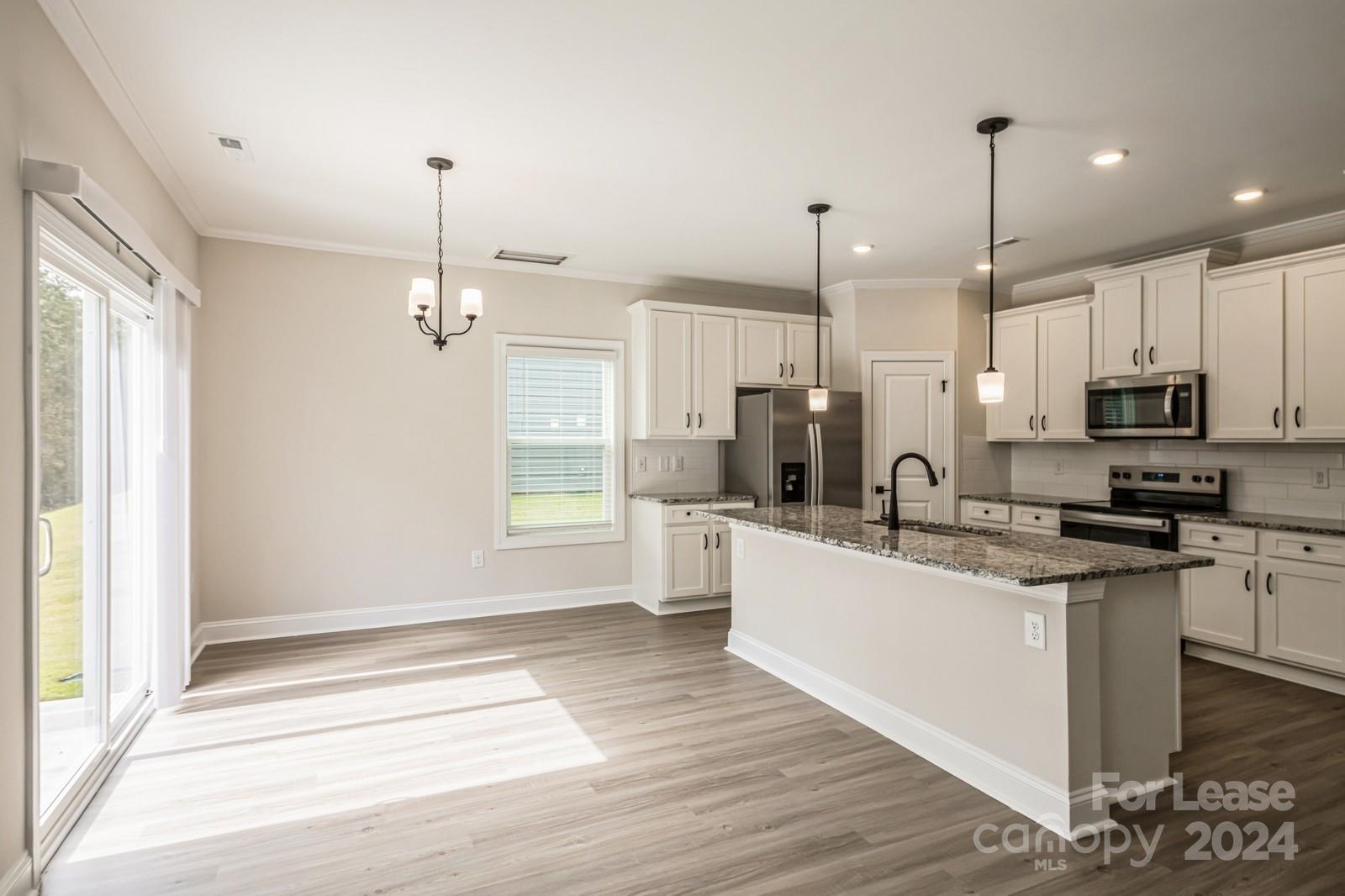 125 Brixham Loop Troutman, NC 28166 - Photo 7 of 29