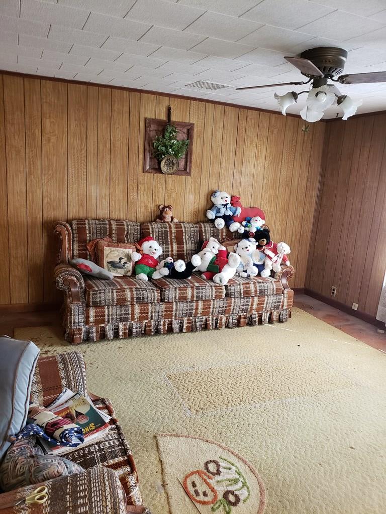 433 Old Bank Road Speedwell, VA 24374 - Photo 8 of 30 Gallery Image 8