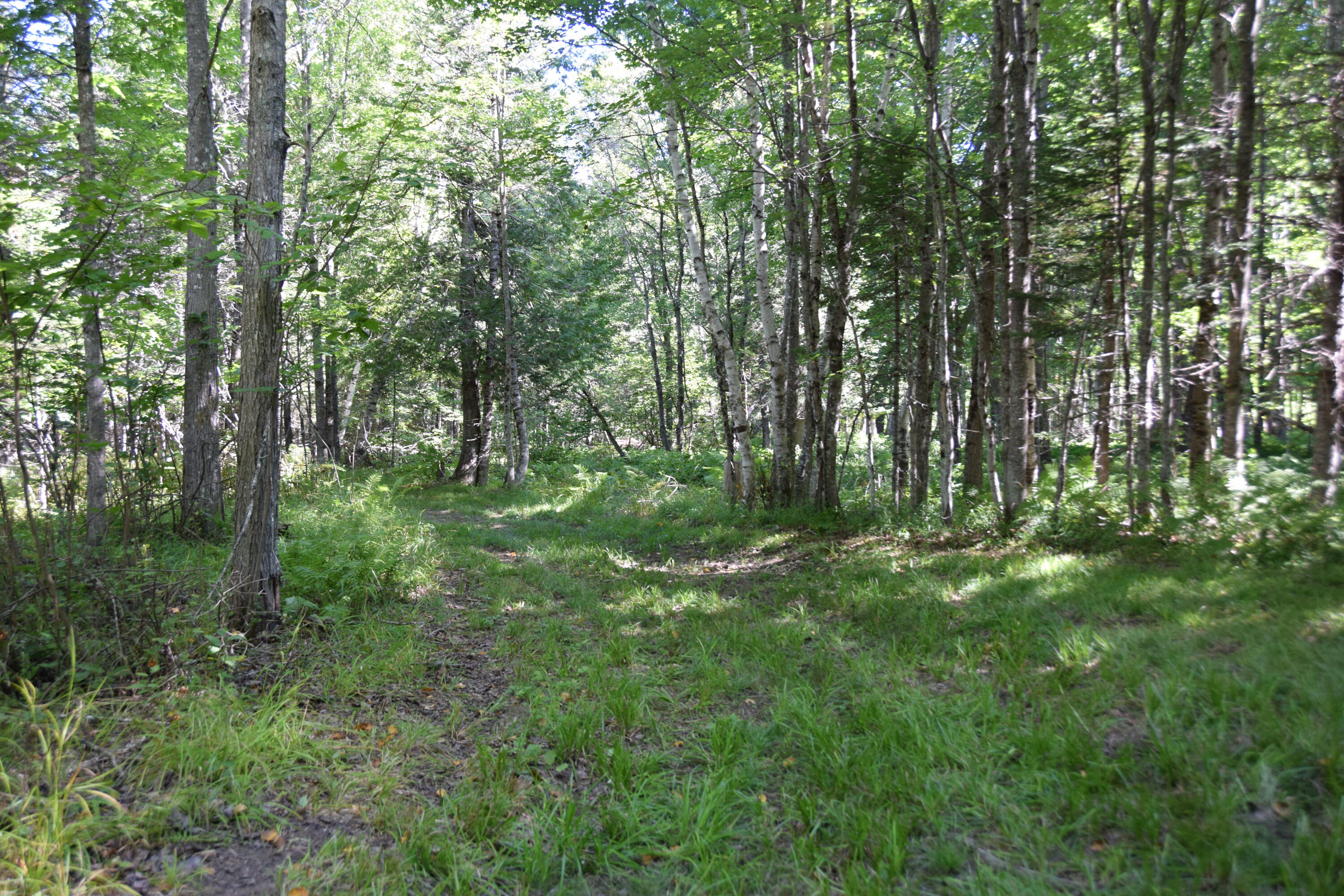 71 Birch Road New Portland, ME 04961 - Photo 63 of 100 DSC_0043