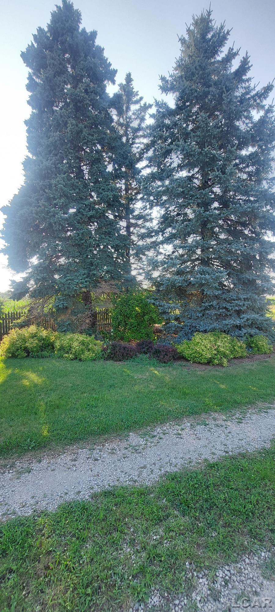 20151 Bethel Church Road Manchester, MI 48158 - Photo 4 of 67 50183455-6d597cf9-1198-4baa-be85-1d61a9adb4bd.JPG