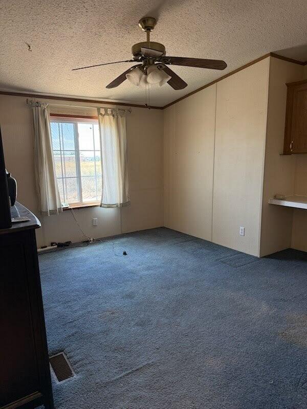 701 Riata Road Tularosa, NM 88352 - Photo 8 of 26 Gallery Image 8
