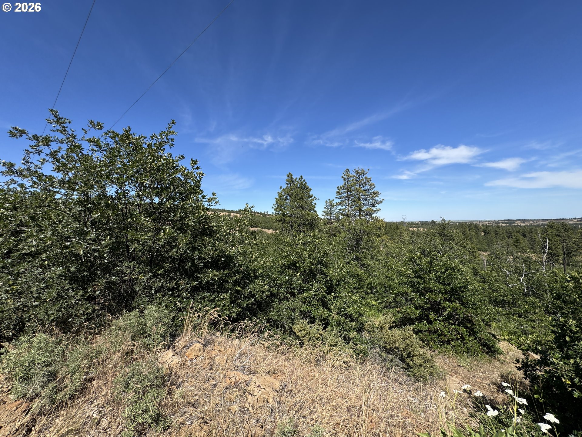 112 Timber Road Roosevelt, WA 99356 - Photo 7 of 31