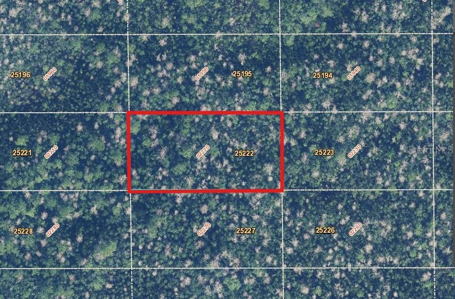 2220 Dill Road Christmas, FL 32709 - Photo 1 of 10 a view of a fence