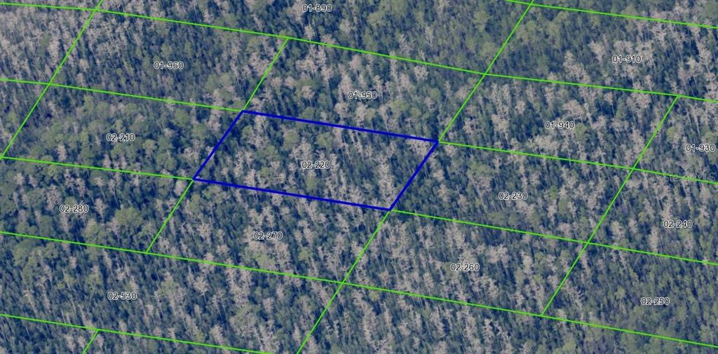 2220 Dill Road Christmas, FL 32709 - Photo 3 of 10