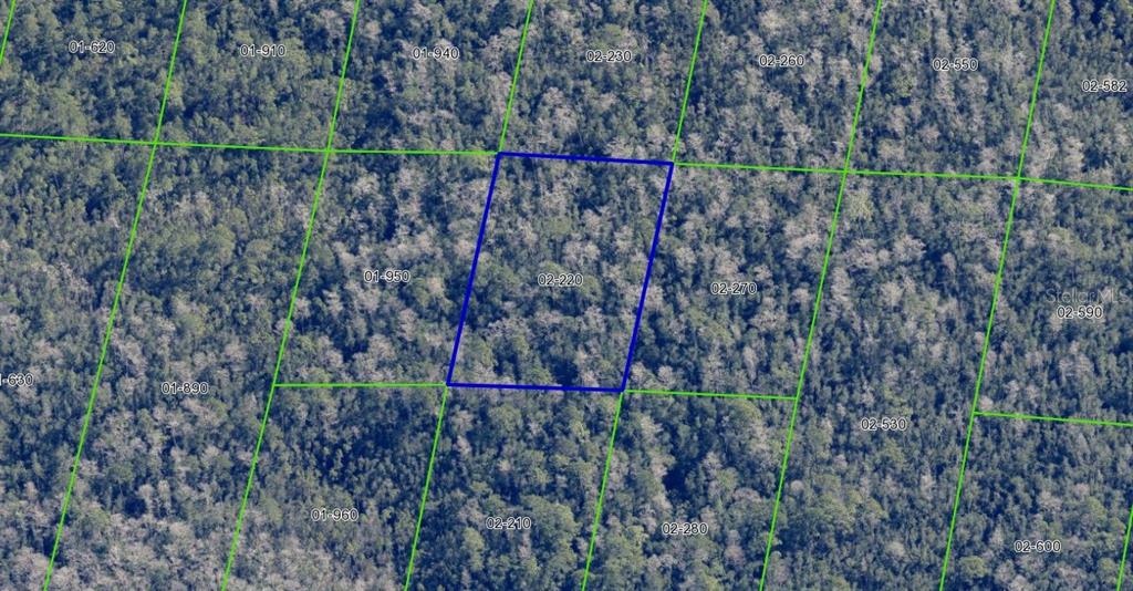 2220 Dill Road Christmas, FL 32709 - Photo 4 of 10