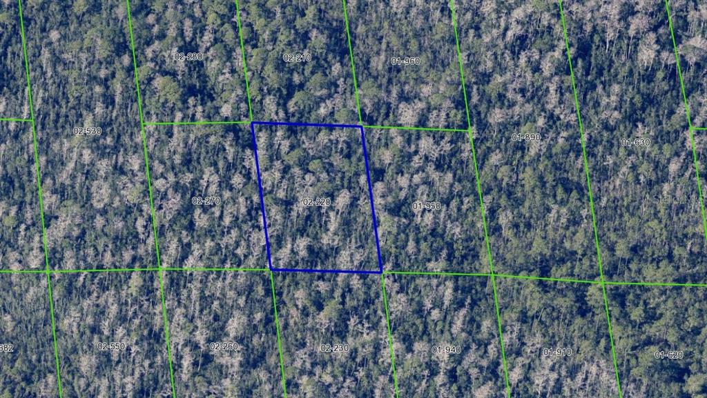 2220 Dill Road Christmas, FL 32709 - Photo 6 of 10 a view of park