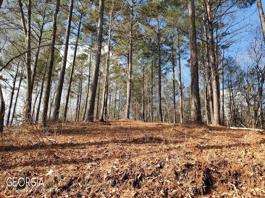 900 Damascus Road Ball Ground, GA 30107 - Photo 1 of 1 a view of large trees with yard