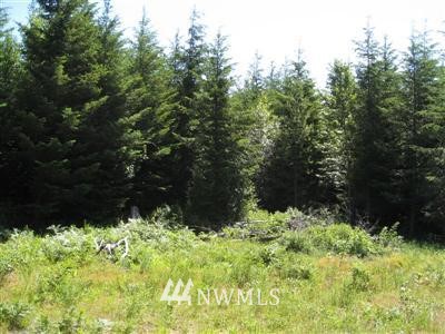 0 Lot 4 Off Filbert Road Cle Elum, WA 98922 - Photo 1 of 1