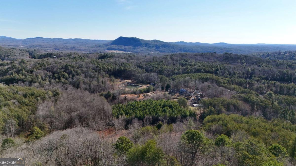 Lot 1 Gold Valley Road Sautee Nacoochee, GA 30571 - Photo 13 of 13