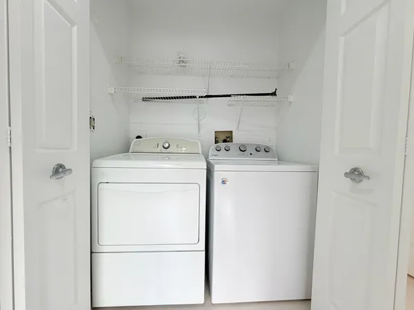 a view of a yard in front of a house with a large tree