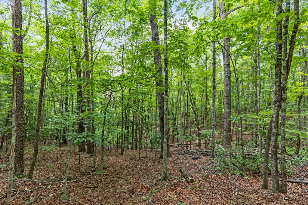 0 Crawford Road McCaysville, GA 30555 - Photo 7 of 21