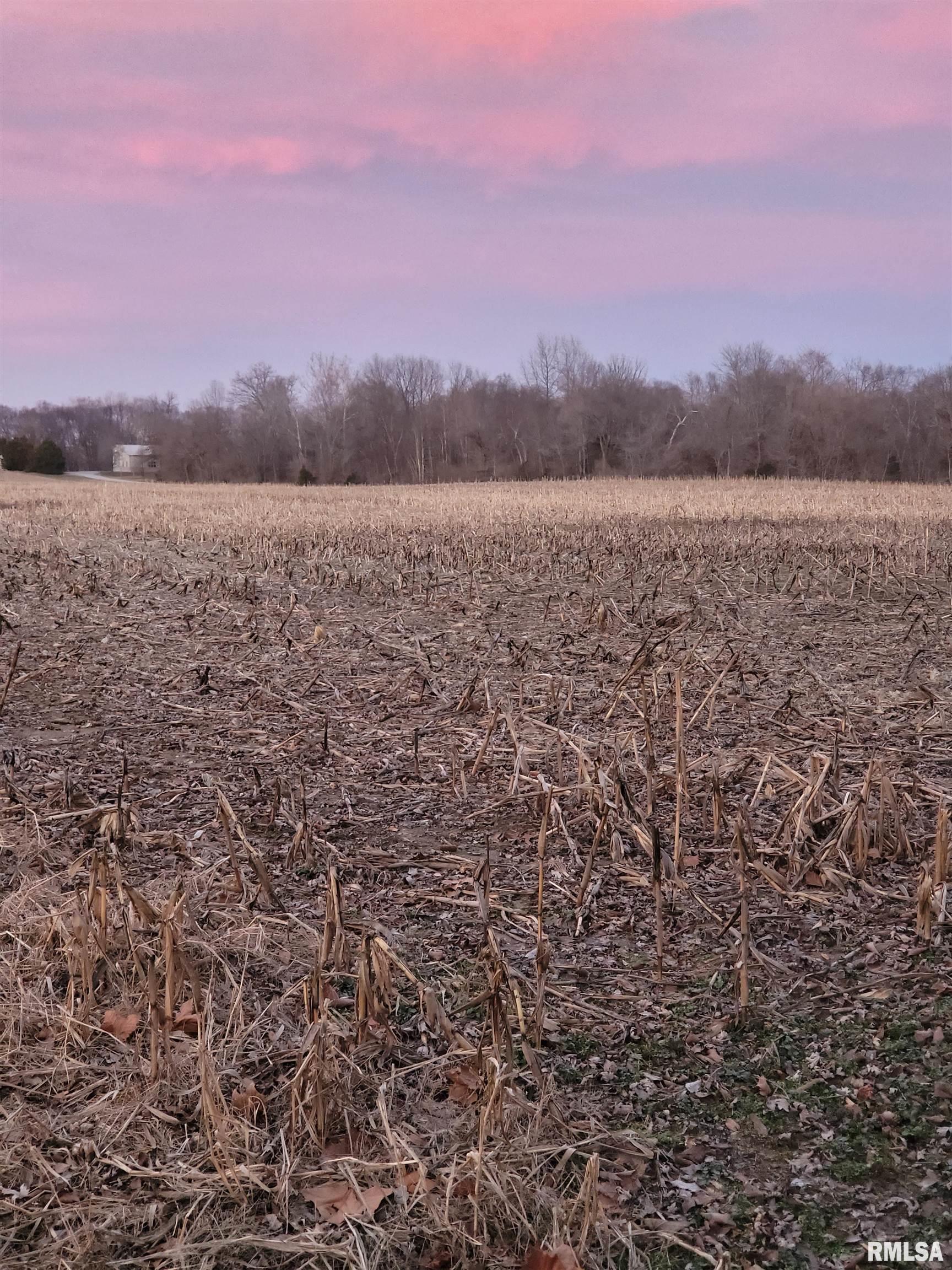 28 Heininger Road Murphysboro, IL 62966 - Photo 6 of 44 Gallery Image 6
