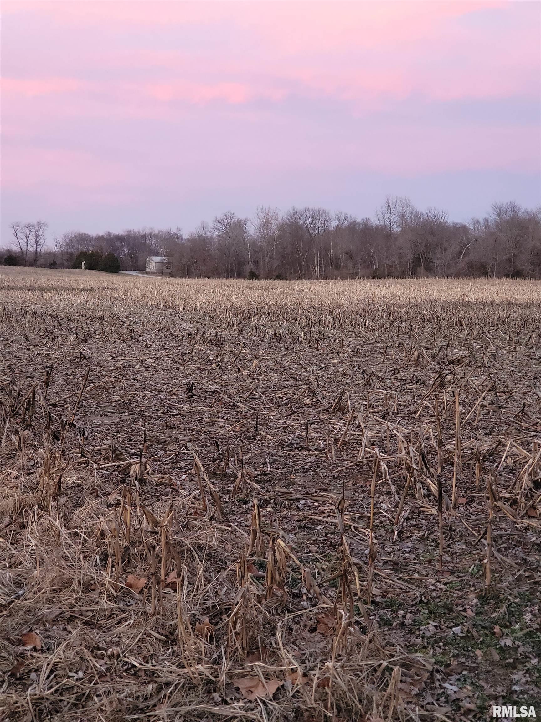 28 Heininger Road Murphysboro, IL 62966 - Photo 7 of 44 Gallery Image 7