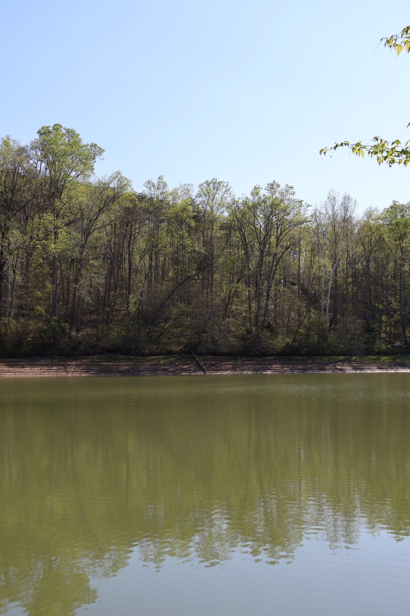 0 Simmons Cemetery Road Quebeck, TN 38579 - Photo 7 of 11 Gallery Image 7