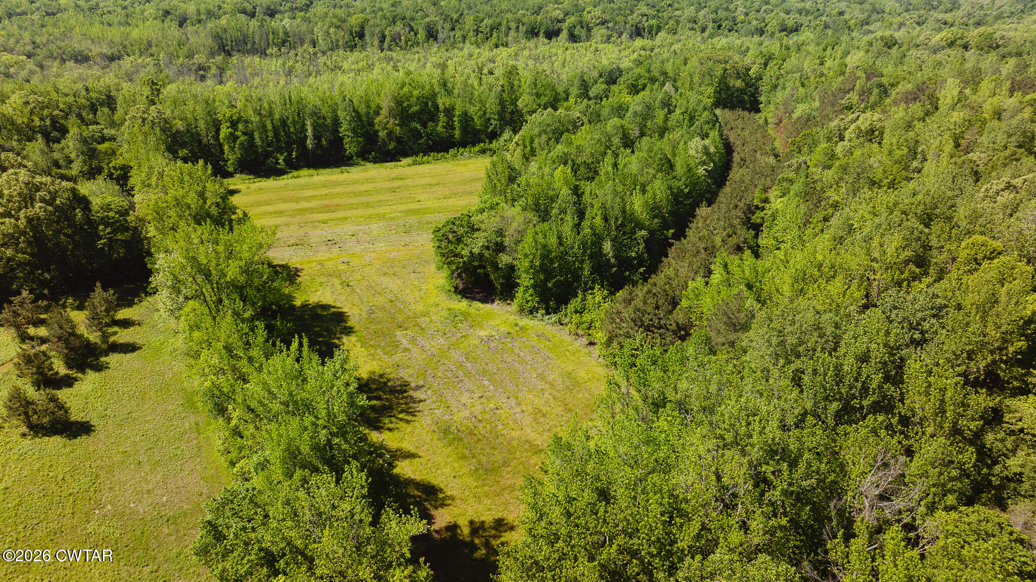 0 Beech Bluff Road Beech Bluff, TN 38313 - Photo 11 of 59 a view of a garden