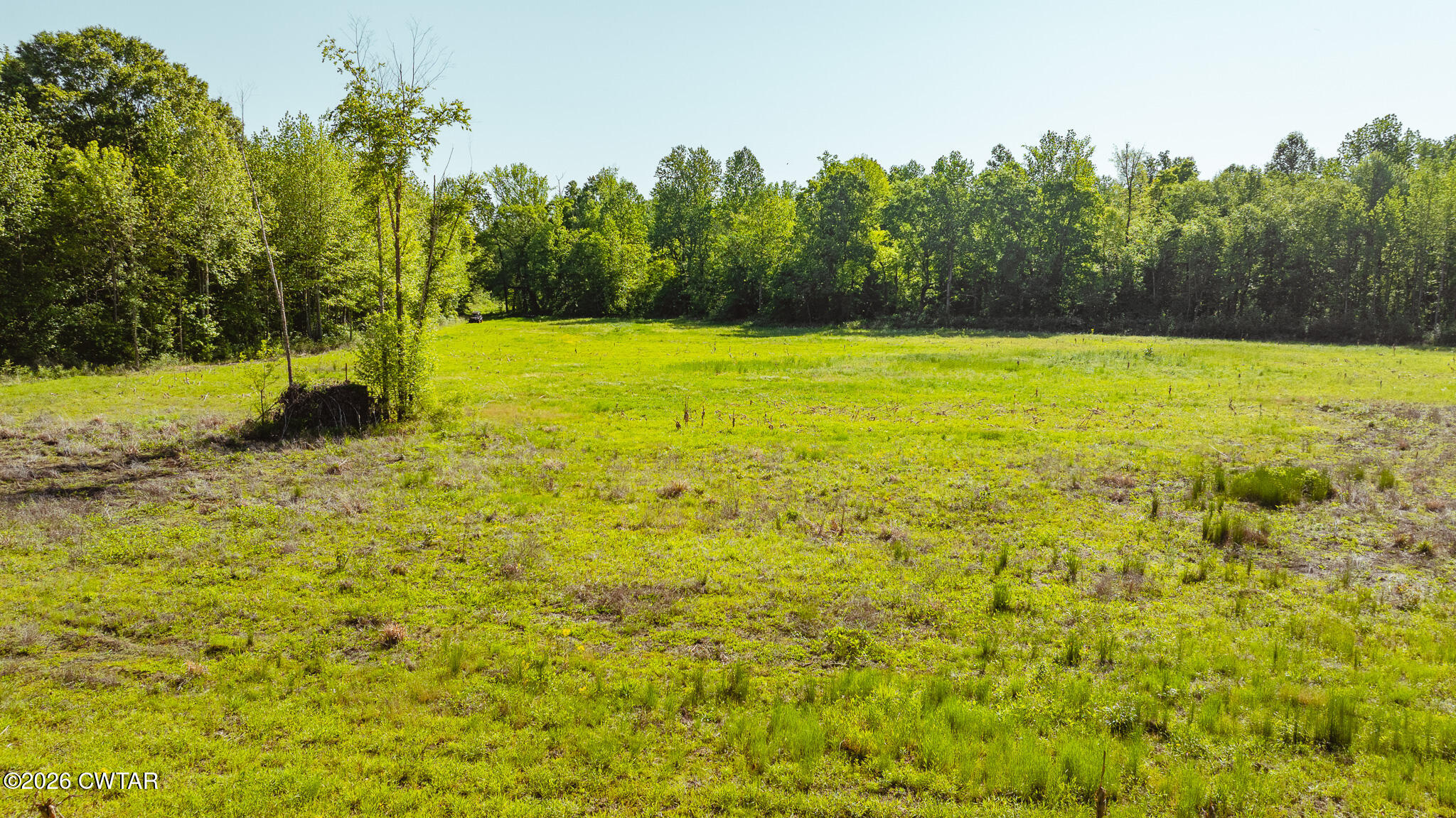 0 Beech Bluff Road Beech Bluff, TN 38313 - Photo 15 of 59 a view of a yard with trees