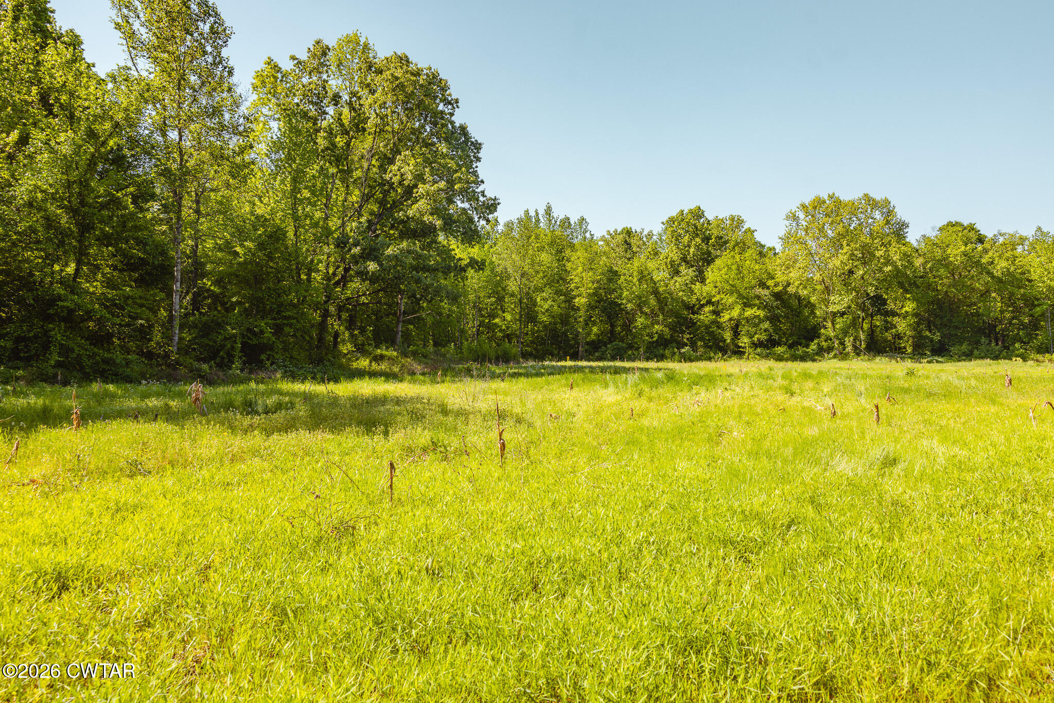 0 Beech Bluff Road Beech Bluff, TN 38313 - Photo 16 of 59 a view of a swimming pool and an outdoor space
