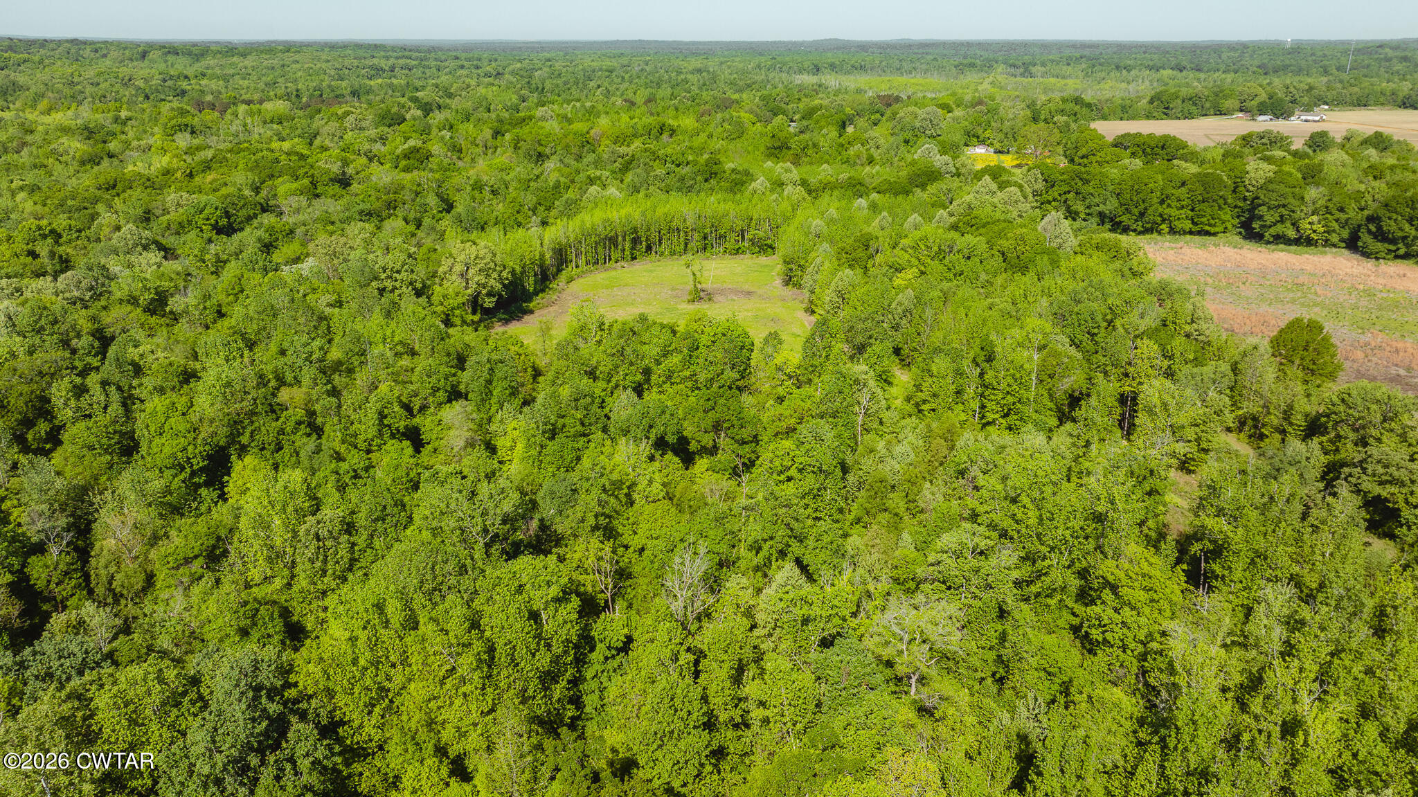 0 Beech Bluff Road Beech Bluff, TN 38313 - Photo 18 of 59 DJI_20260418165751_0016_D