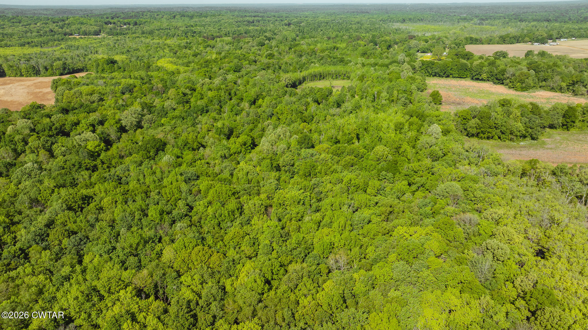 0 Beech Bluff Road Beech Bluff, TN 38313 - Photo 20 of 59 a view of a green field with lots of bushes