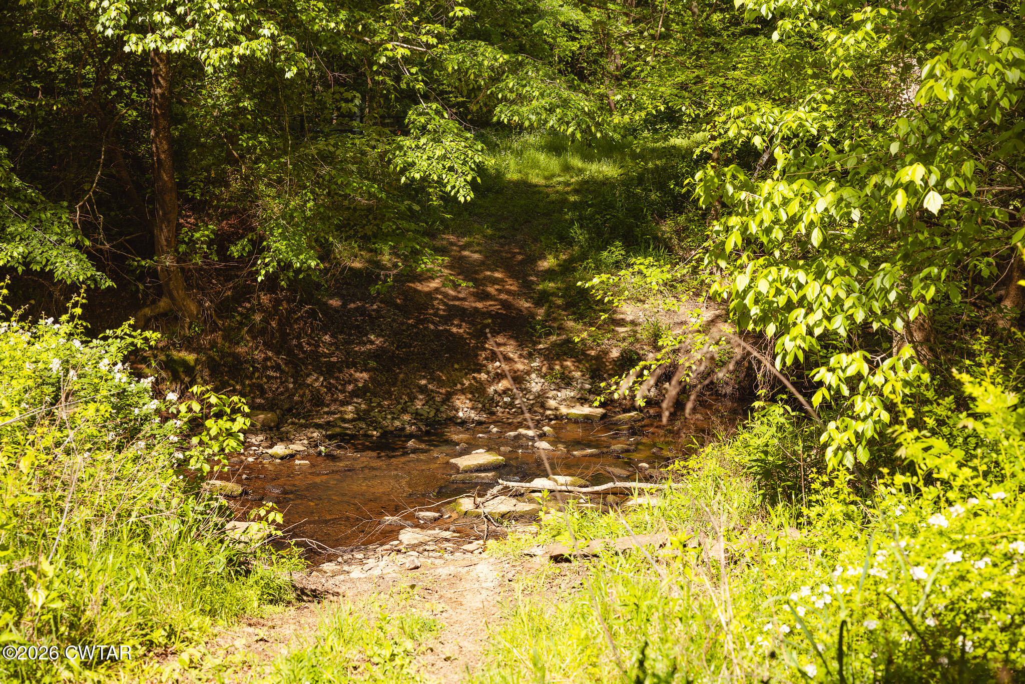 0 Beech Bluff Road Beech Bluff, TN 38313 - Photo 25 of 59 FT8A3951