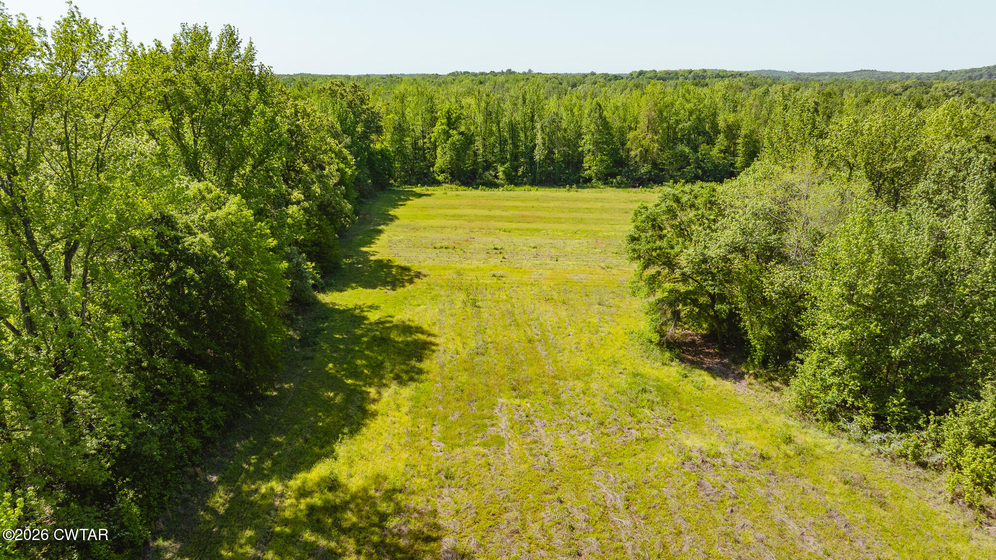 0 Beech Bluff Road Beech Bluff, TN 38313 - Photo 8 of 59 DJI_20260418175915_0042_D