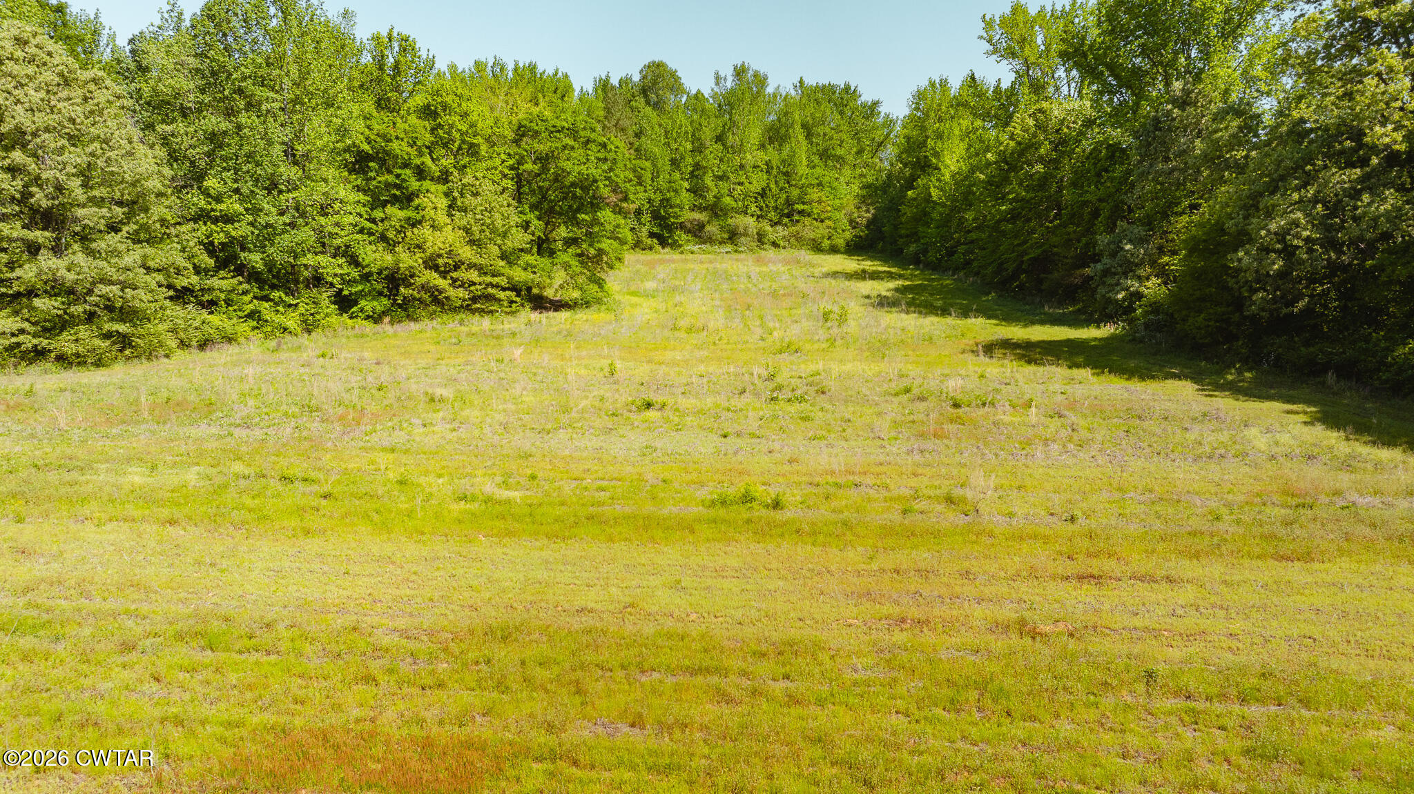 0 Beech Bluff Road Beech Bluff, TN 38313 - Photo 10 of 59 a view of beach with an ocean view