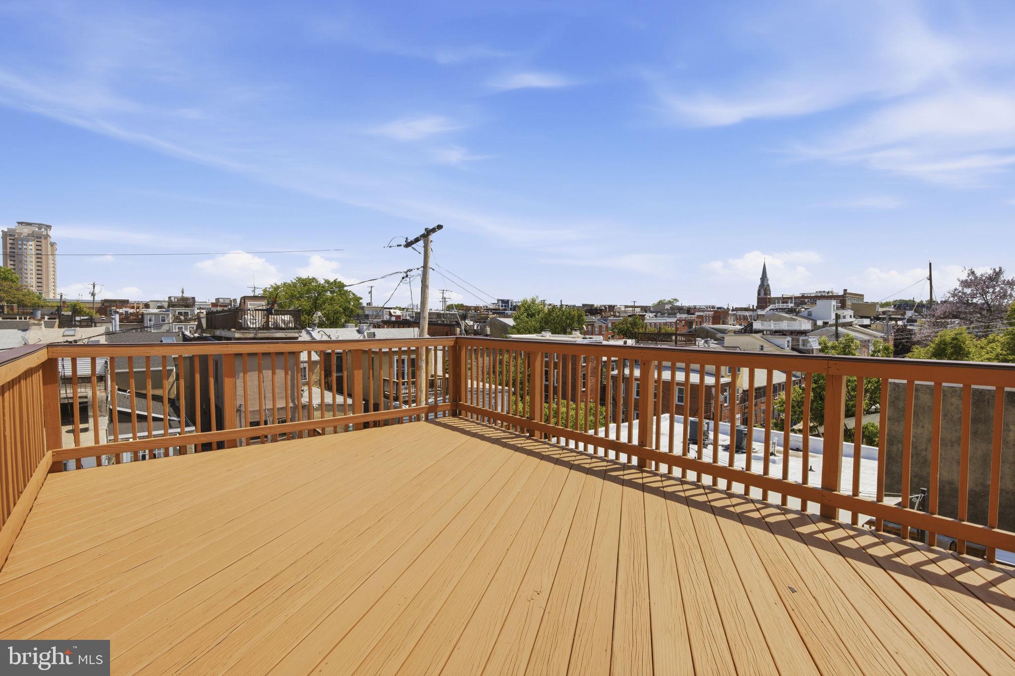 1131 William Street Baltimore, MD 21230 - Photo 28 of 40 Hallway Access Roof Top Deck