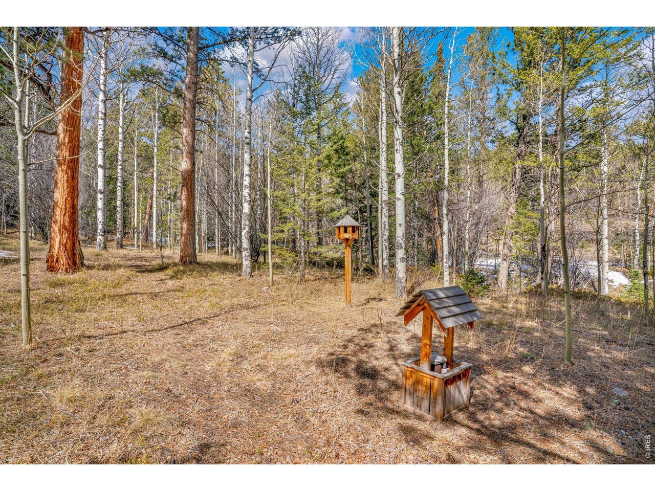 251 Haugen Slide Road Allenspark, CO 80510 - Photo 10 of 42 a backyard of a house with table and chairs