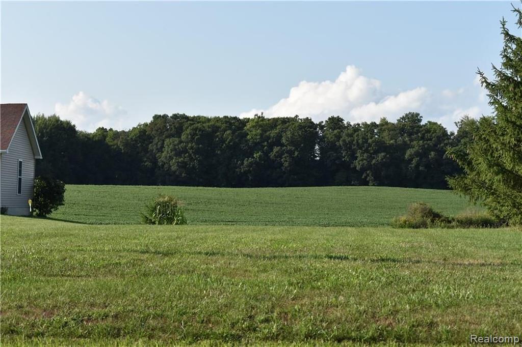 V/l East Coulter Road Lapeer, MI 48446 - Photo 1 of 5