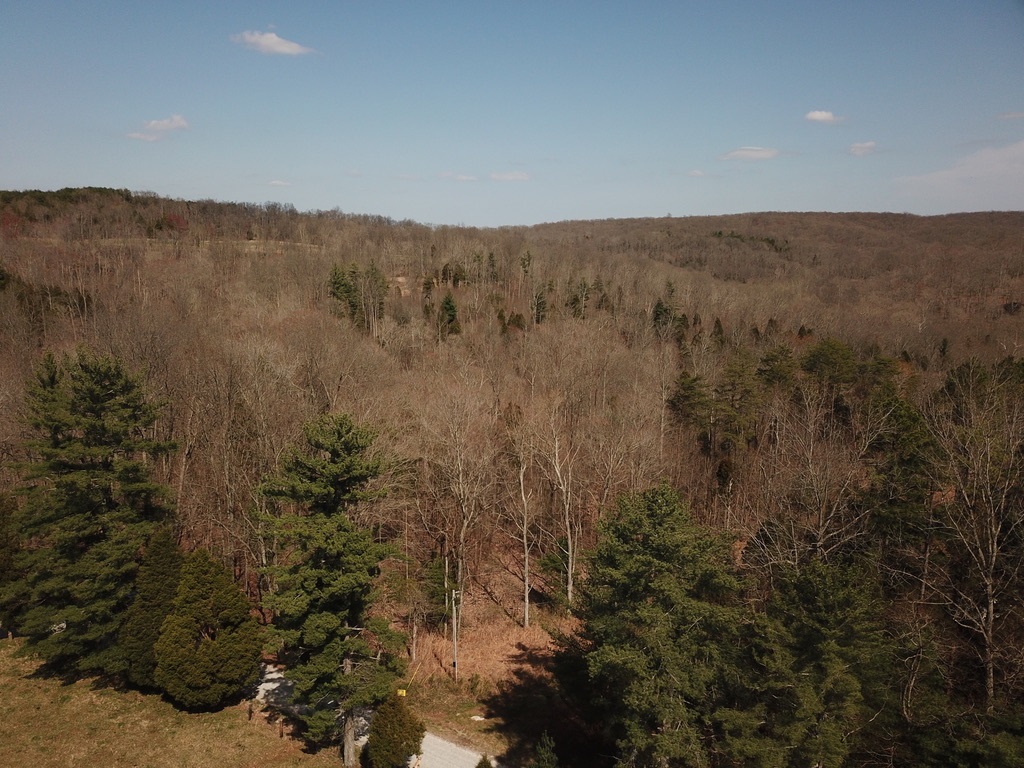 0 Eckert Road English, IN 47118 - Photo 3 of 33 Gallery Image 3