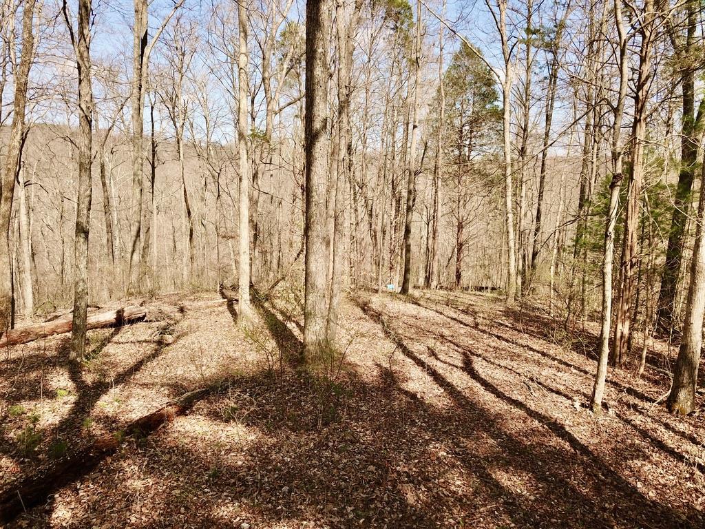 0 Eckert Road English, IN 47118 - Photo 22 of 33 Gallery Image 22
