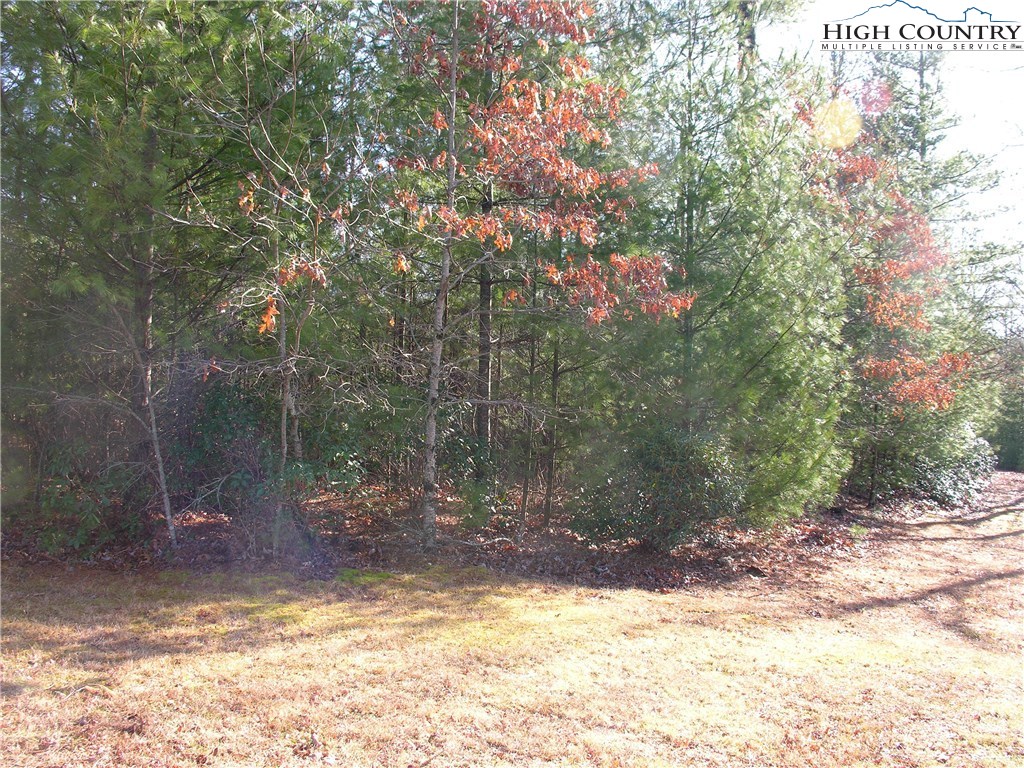 14 Country Ridge Road Jefferson, NC 28640 - Photo 2 of 6 Gallery Image 2