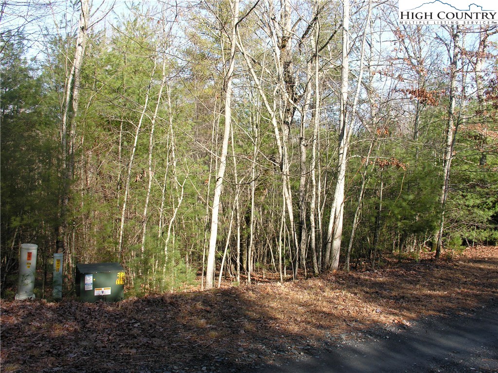 14 Country Ridge Road Jefferson, NC 28640 - Photo 4 of 6 Gallery Image 4