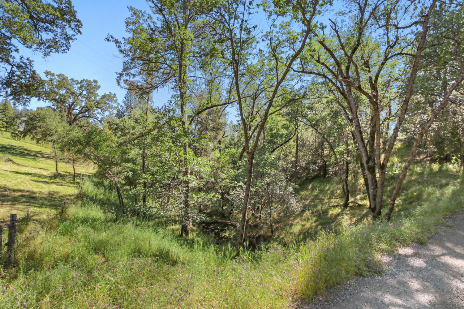 0 Hoot Owl Ravine Road Placerville, CA 95667 - Photo 1 of 20 a view of a yard