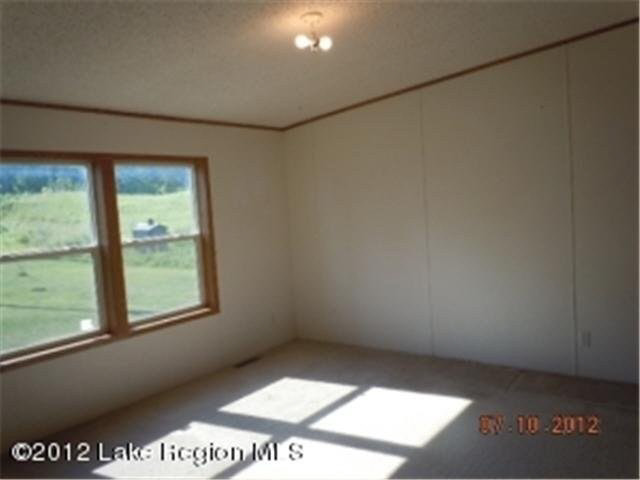 34291 Borah Road Detroit Lakes, MN 56501 - Photo 6 of 13 Gallery Image 6