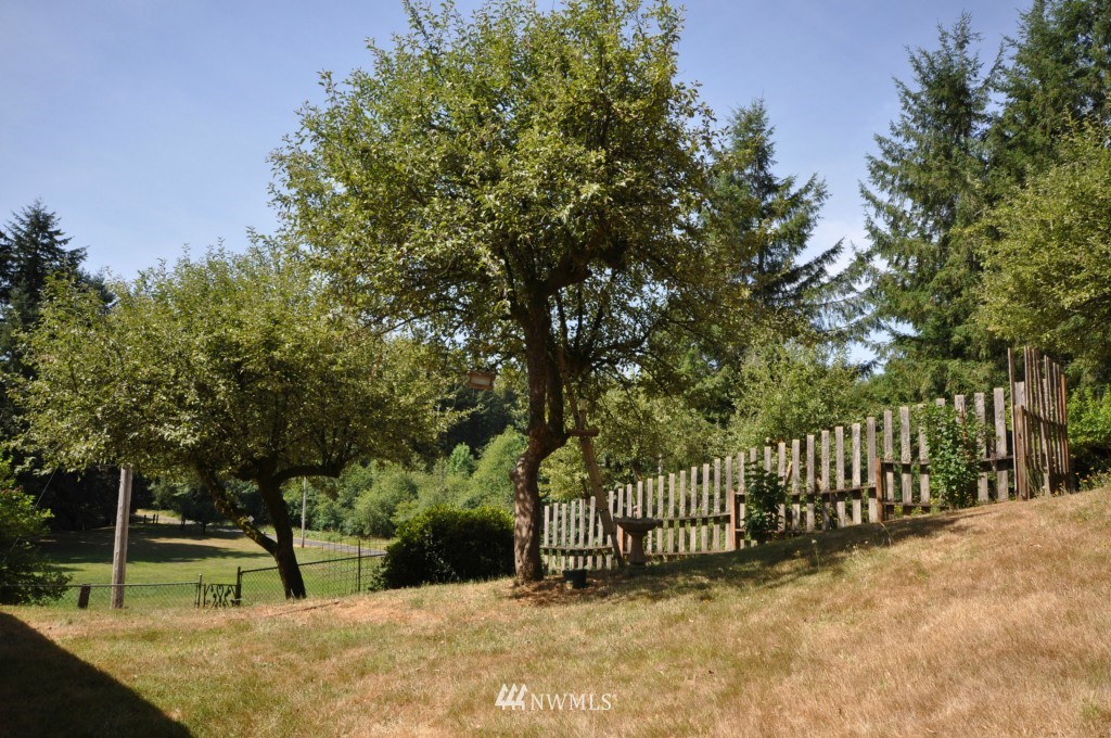 20344 Van Dyke Road Southwest Rochester, WA 98579 - Photo 15 of 24
