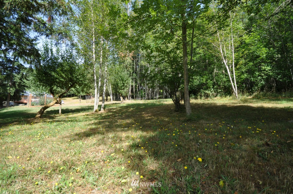 20344 Van Dyke Road Southwest Rochester, WA 98579 - Photo 19 of 24