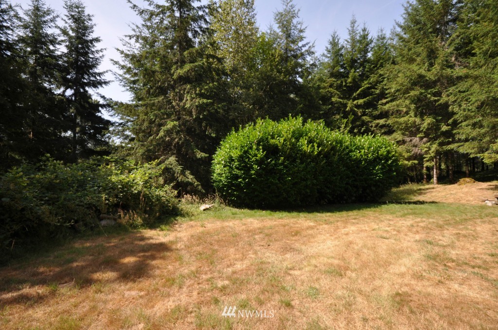 20344 Van Dyke Road Southwest Rochester, WA 98579 - Photo 20 of 24
