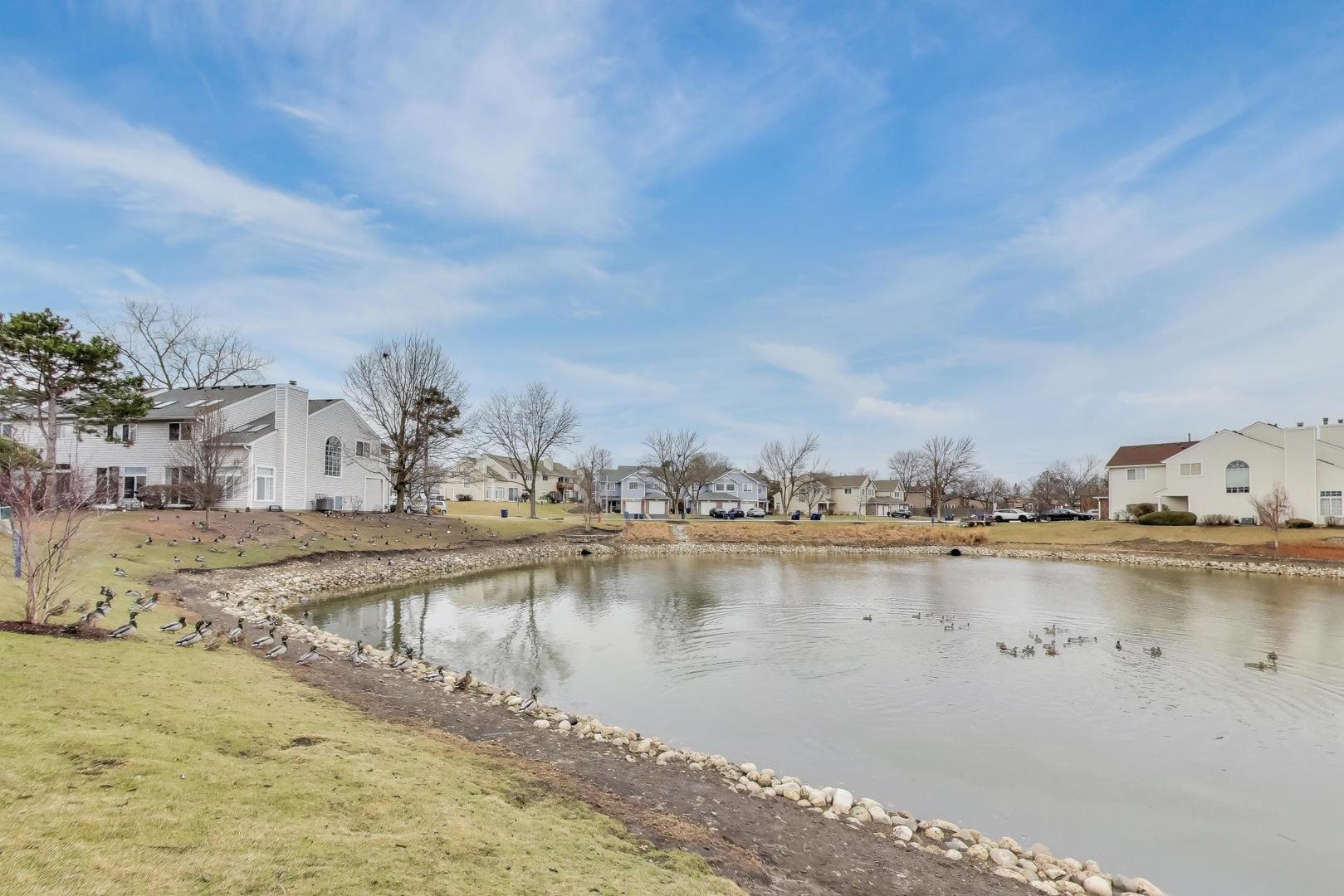 1052 Ripple Ridge Darien, IL 60561 - Photo 25 of 26