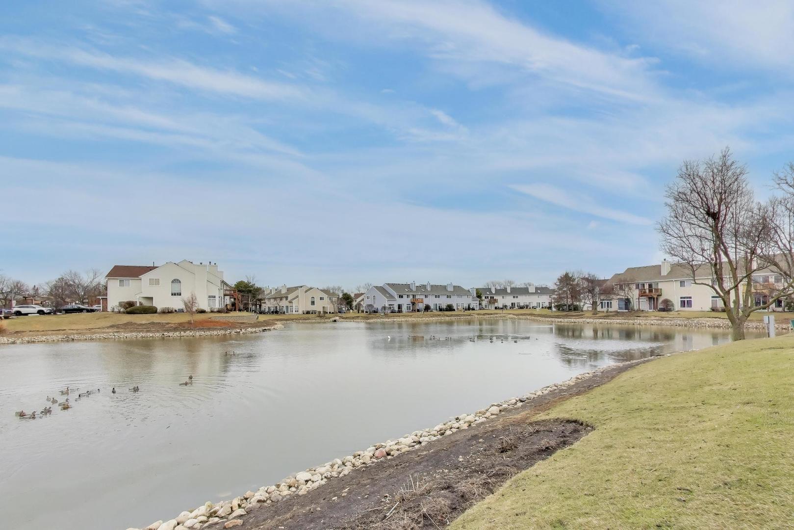 1052 Ripple Ridge Darien, IL 60561 - Photo 26 of 26