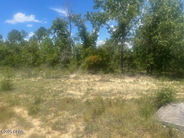 Tbd Cachet Court, Unit 9 Chipley, FL 32428 - Photo 4 of 11