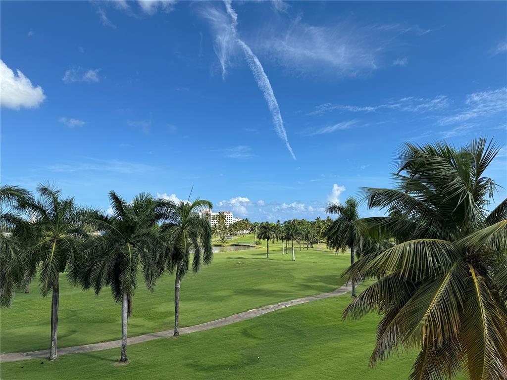 Villas De Golf East Villas De Golf East Dorado Del Mar Boulevard, Unit 91 Dorado, PR 00646 - Photo 15 of 15 a view of a yard with palm trees