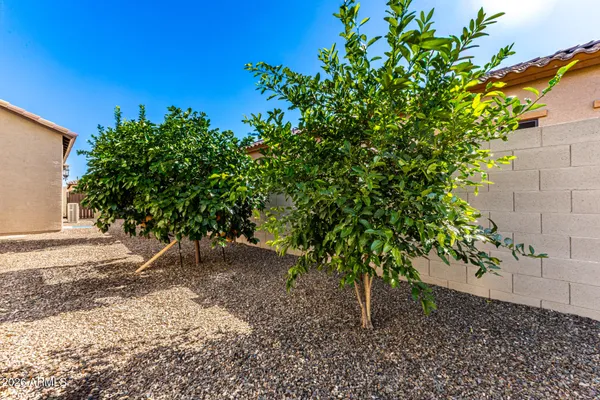 $1,025,000 | 2046 North Steele Circle, Mesa, AZ 85207
