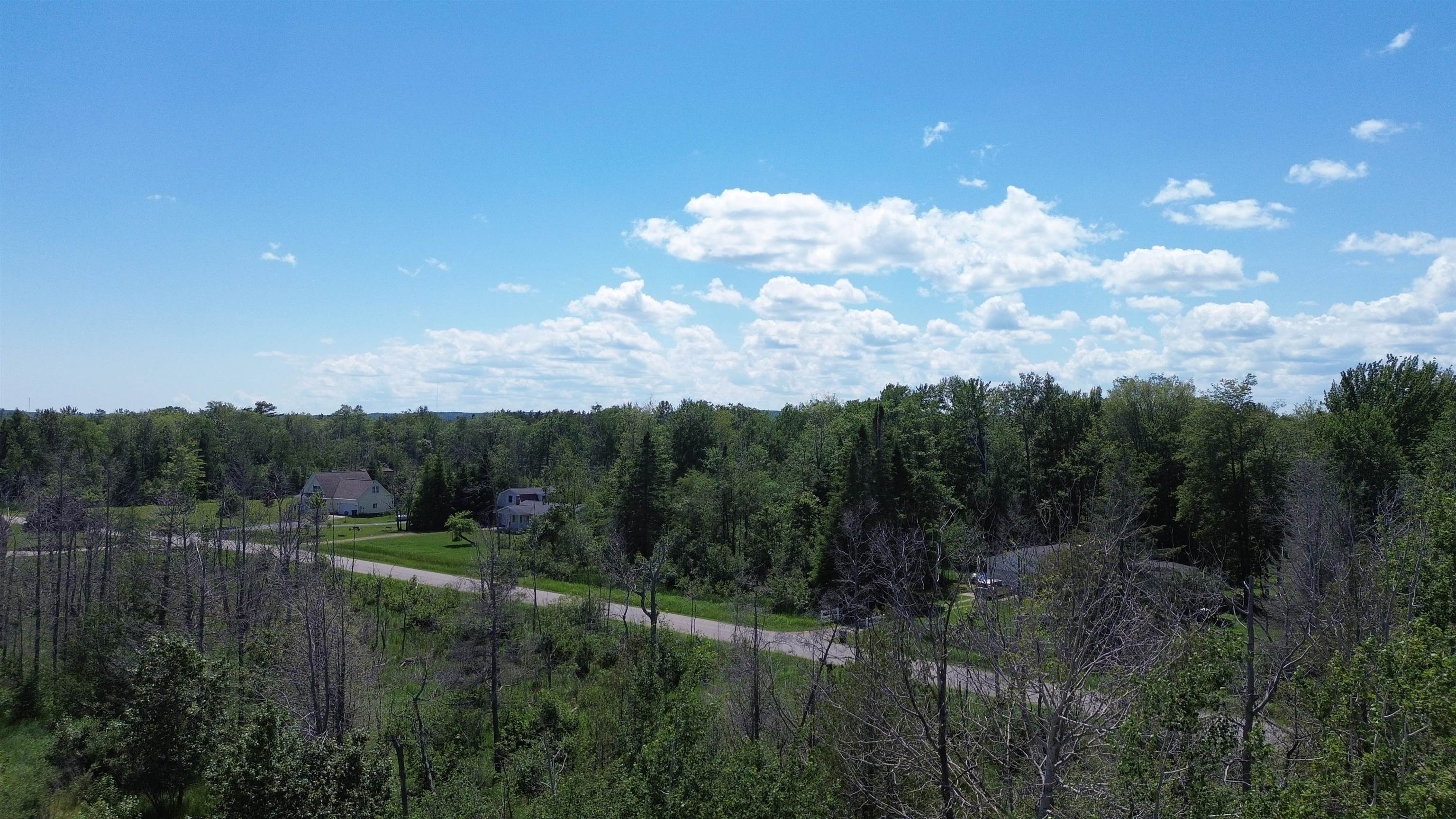0 Ridge Road Black River, MI 48721 - Photo 9 of 12 Gallery Image 9