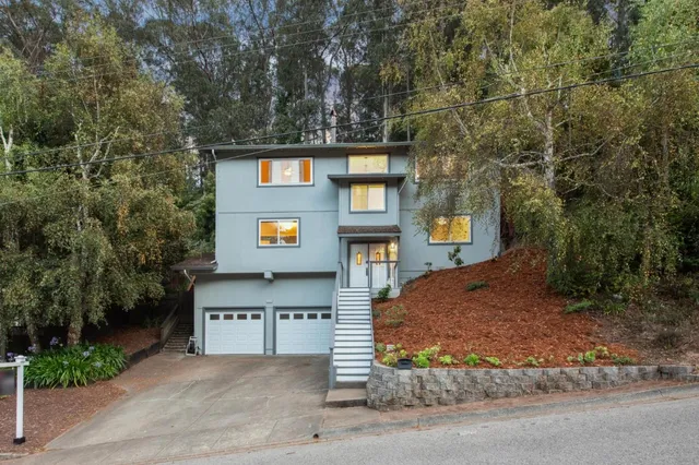 a view of a street that has two large trees
