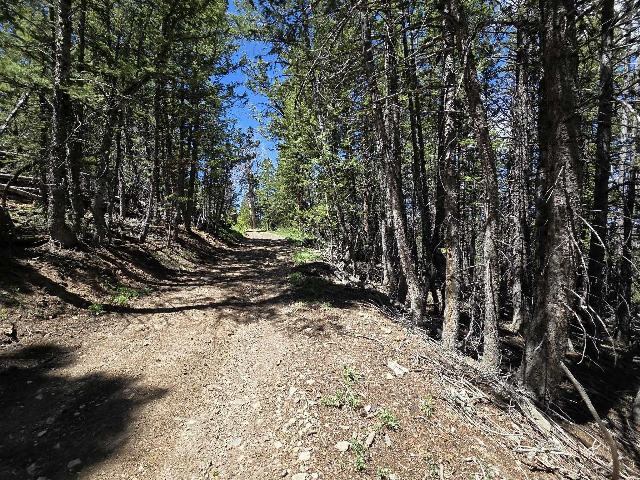 3 Starry Way Dubois, WY 82513 - Photo 15 of 30
